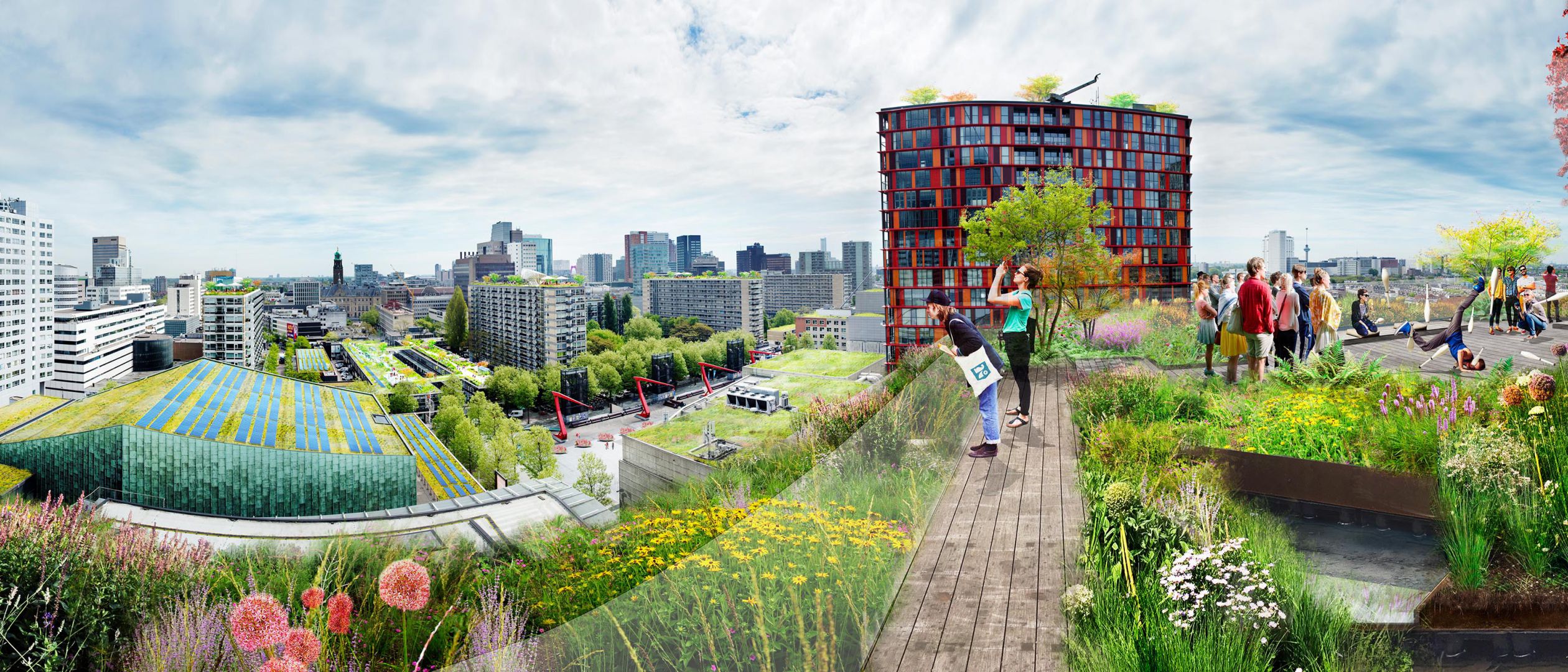 and believe in a future of healthy and adaptive cities.