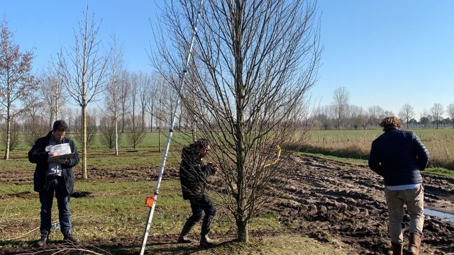 De bomen voor het verticale bos Wonderwoods zijn uitgekozen!