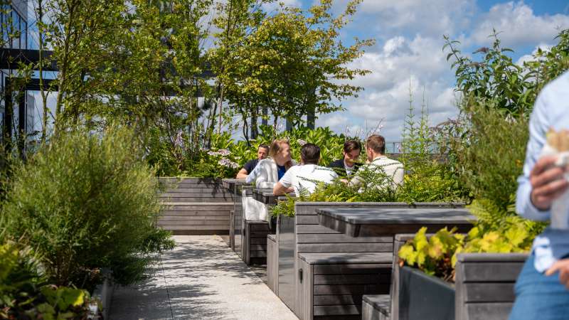 Rooftop gardens WTC Tower Ten