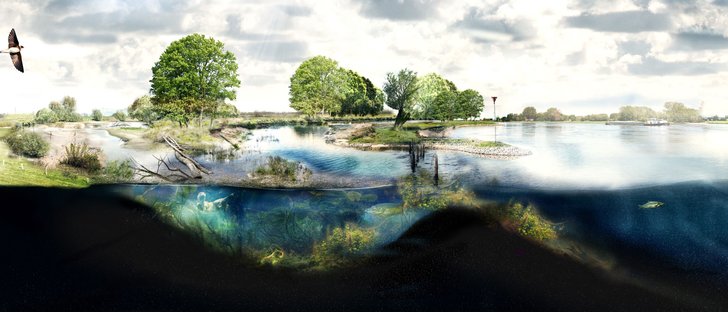 Kaderrichtlijn water - Oost Nederland