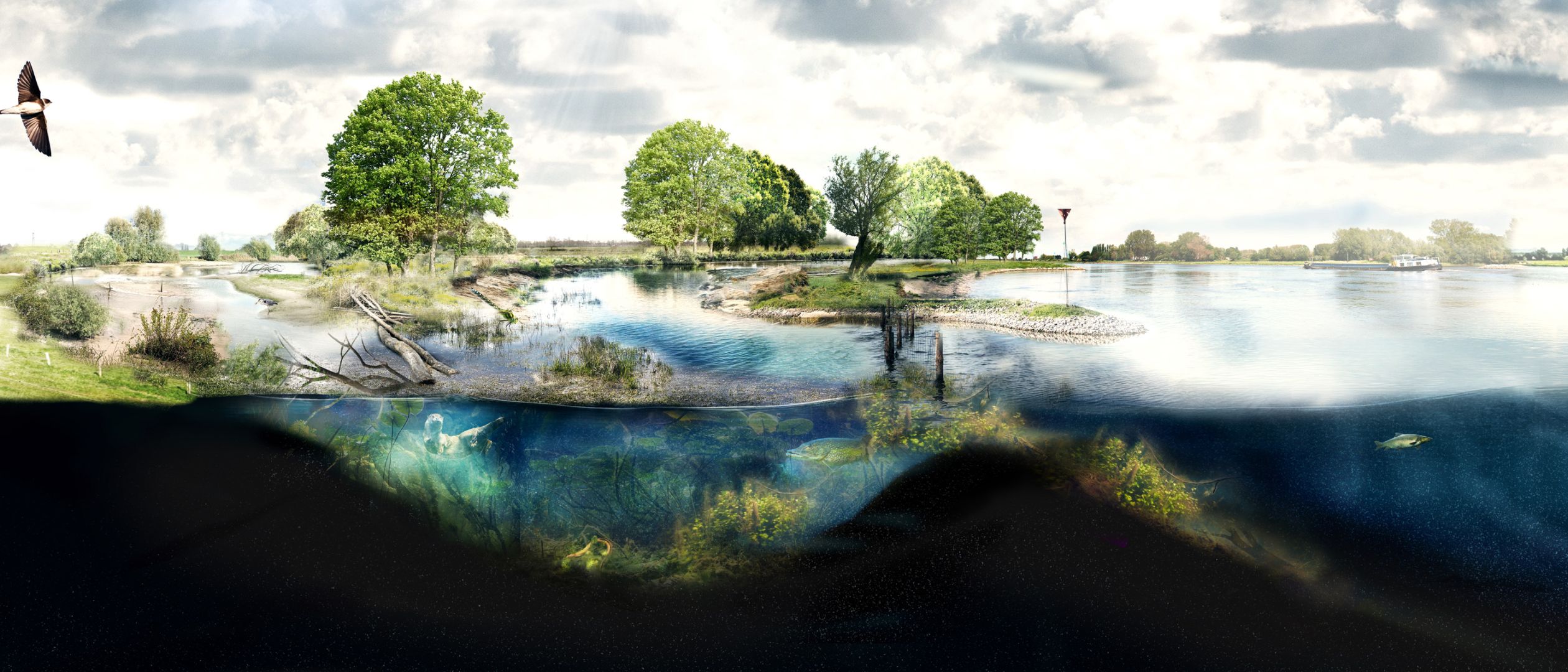Kaderrichtlijn water - Oost Nederland