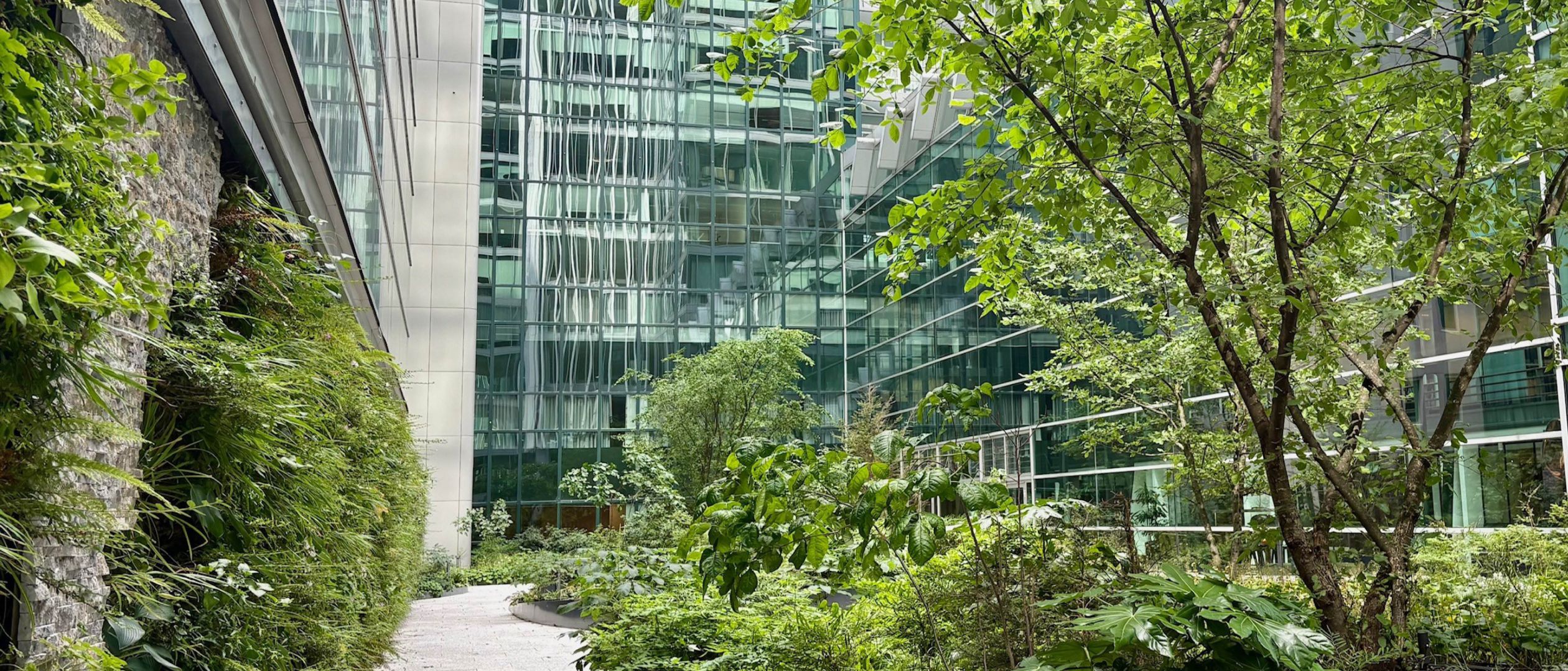 World Trade Center Patio